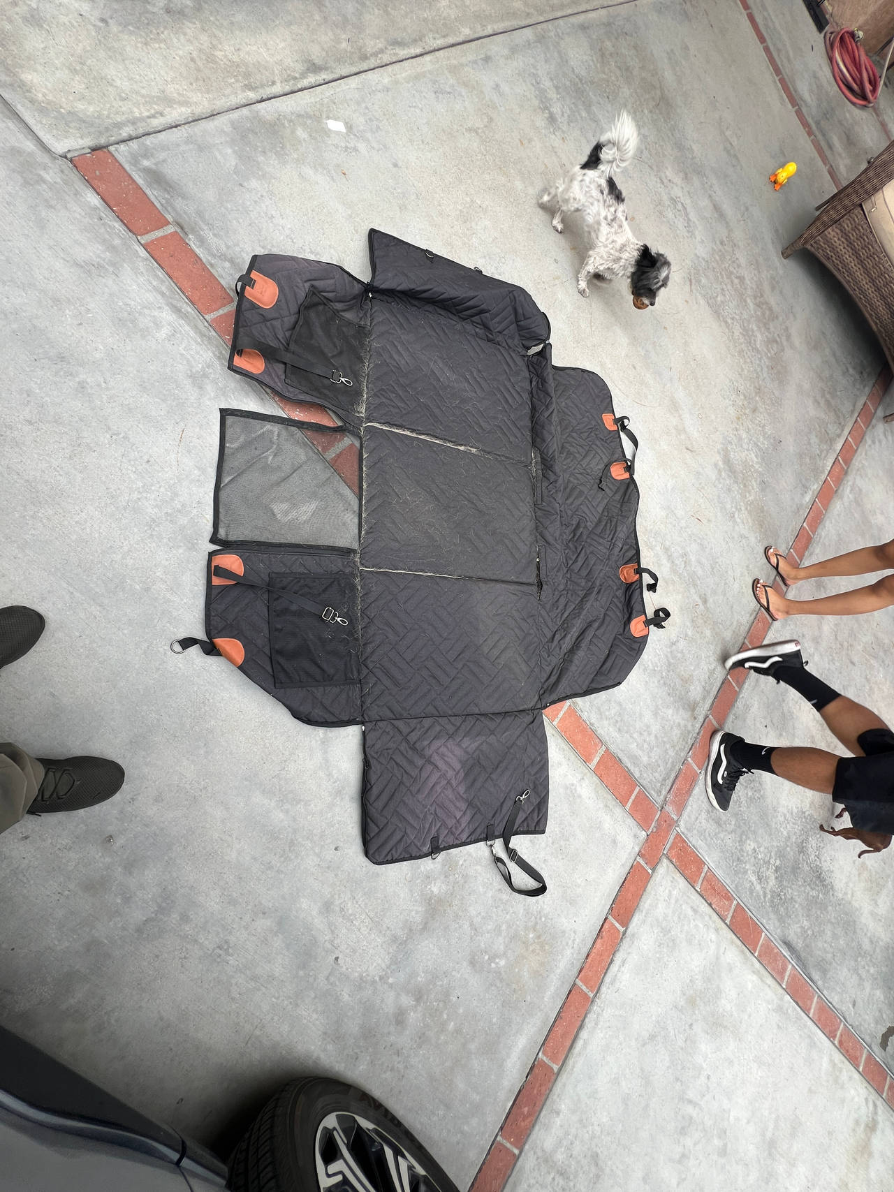Dog Car Seat Cover