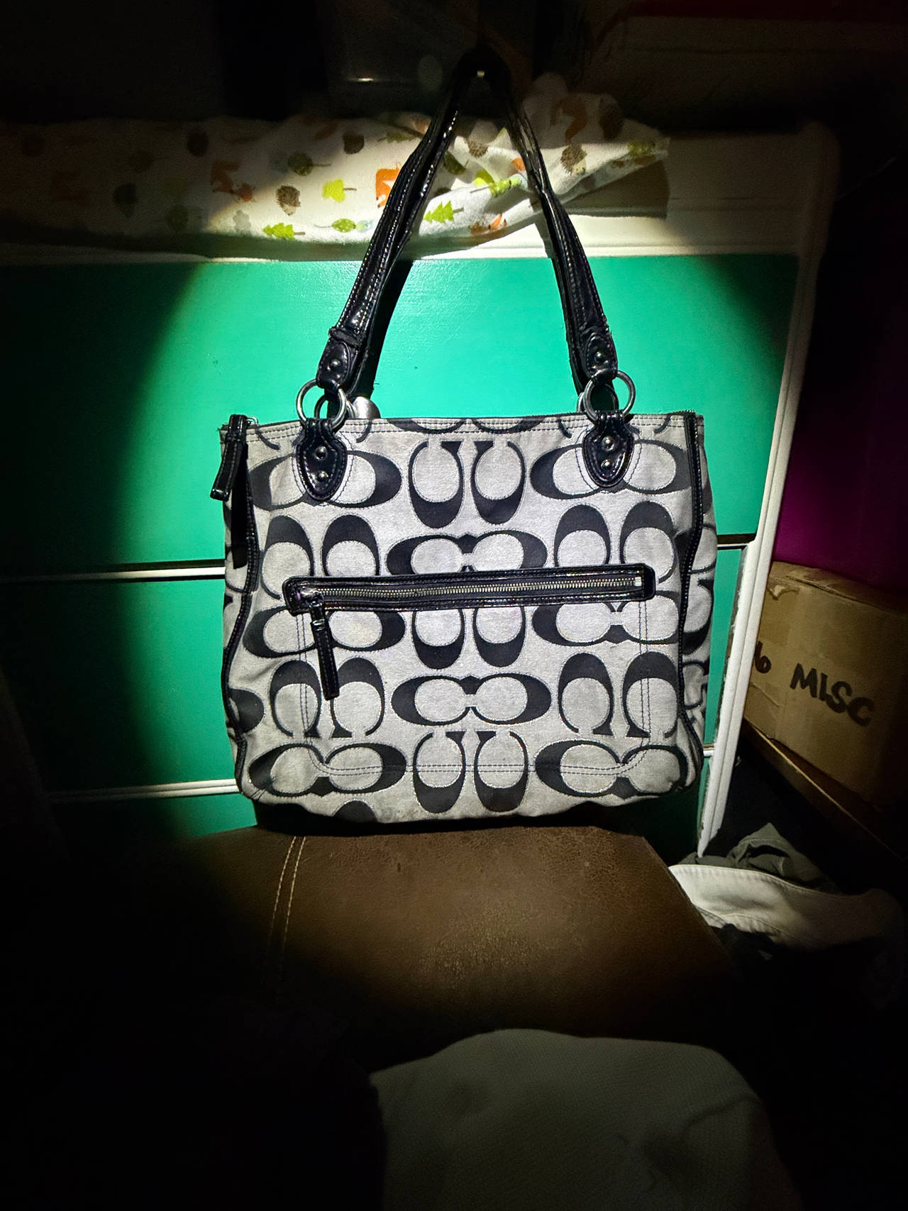 Coach Signature Canvas Tote Bag