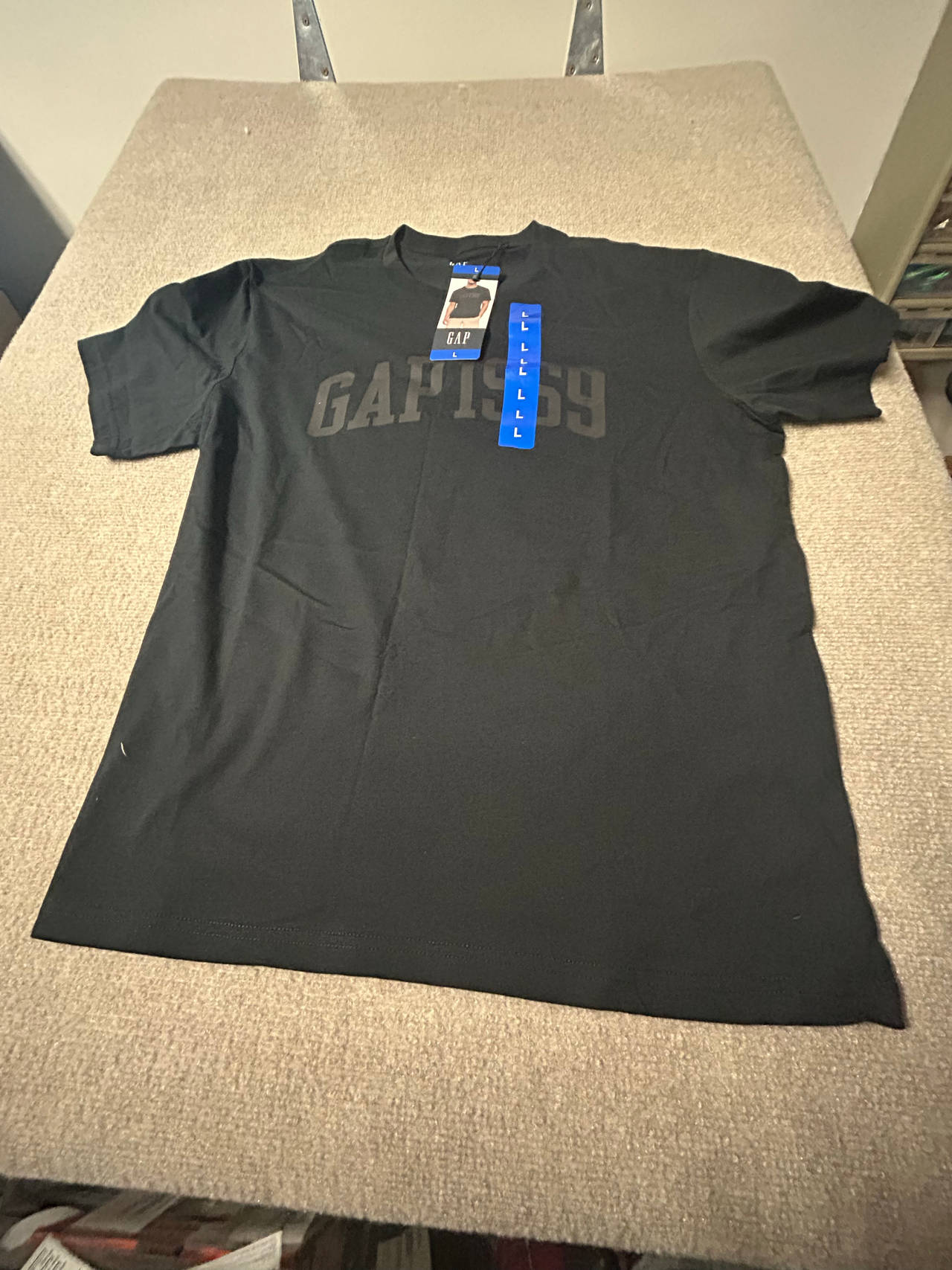 Gap 1969 Logo Graphic T-Shirt