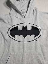 Warner Bros. Studio Store Vintage Batman Looney Tunes Hoodie 100 yr anniversary - Image 5