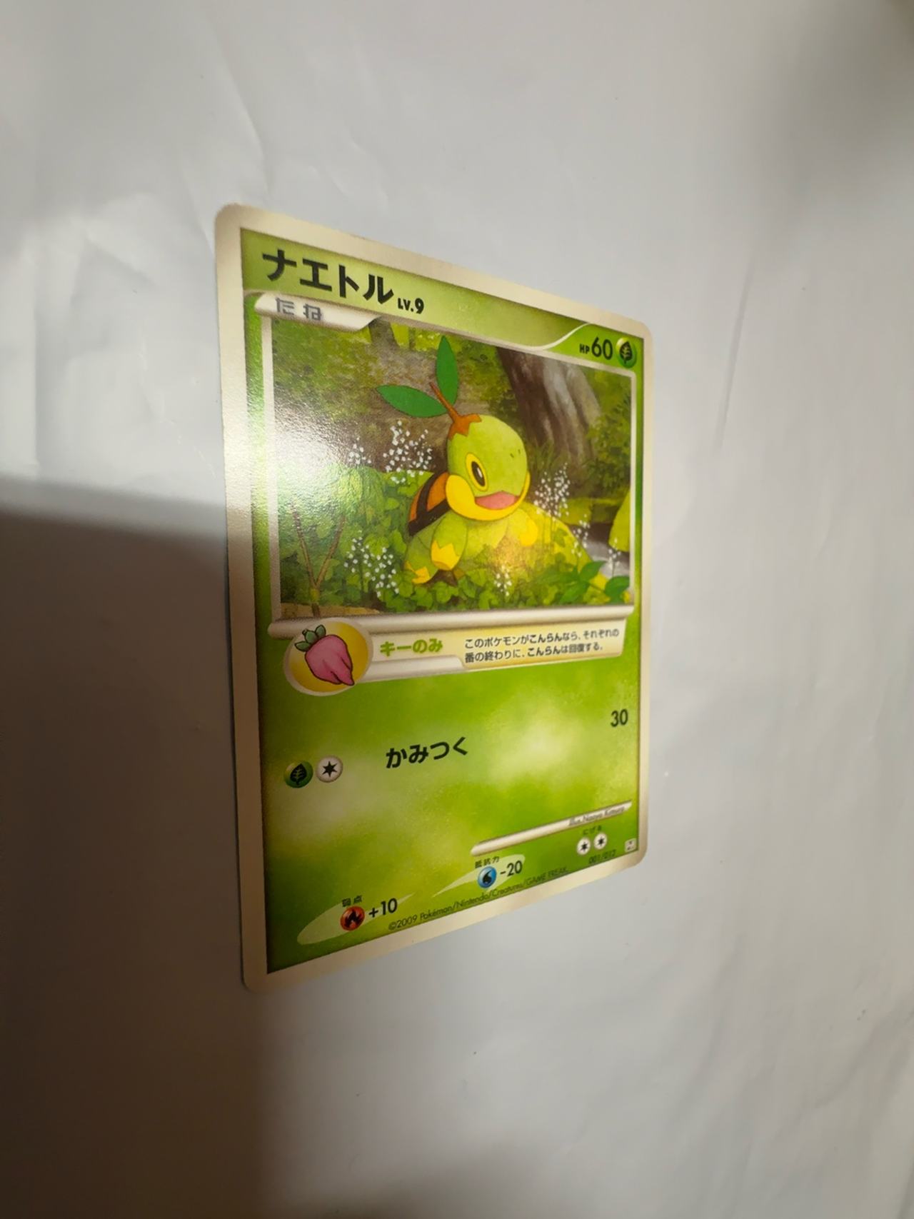 Pokemon TCG Turtwig Holo Promo Card