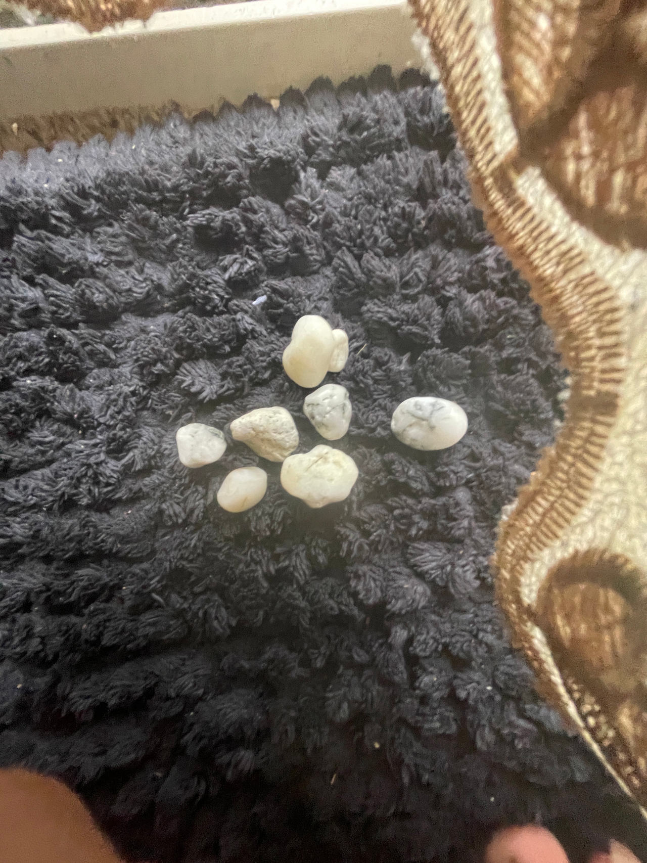 White Decorative Pebbles