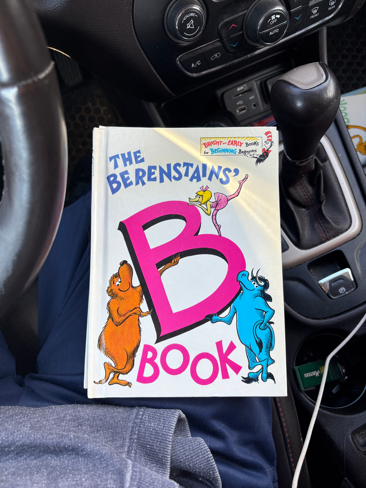 The Berenstains' B Book