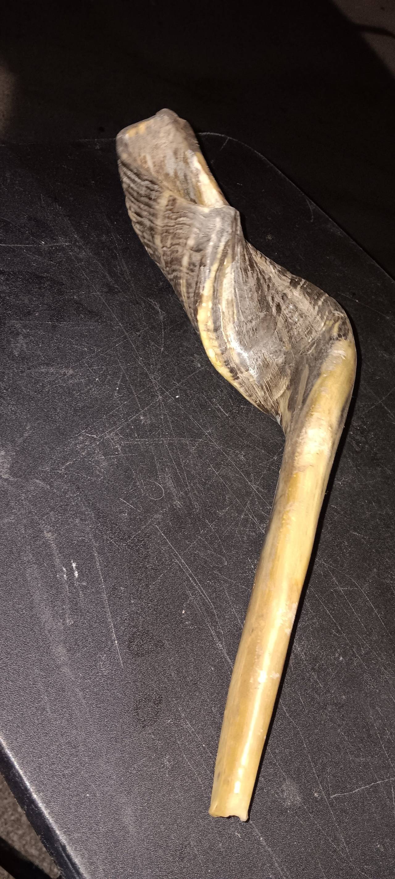 Kudu Shofar Horn