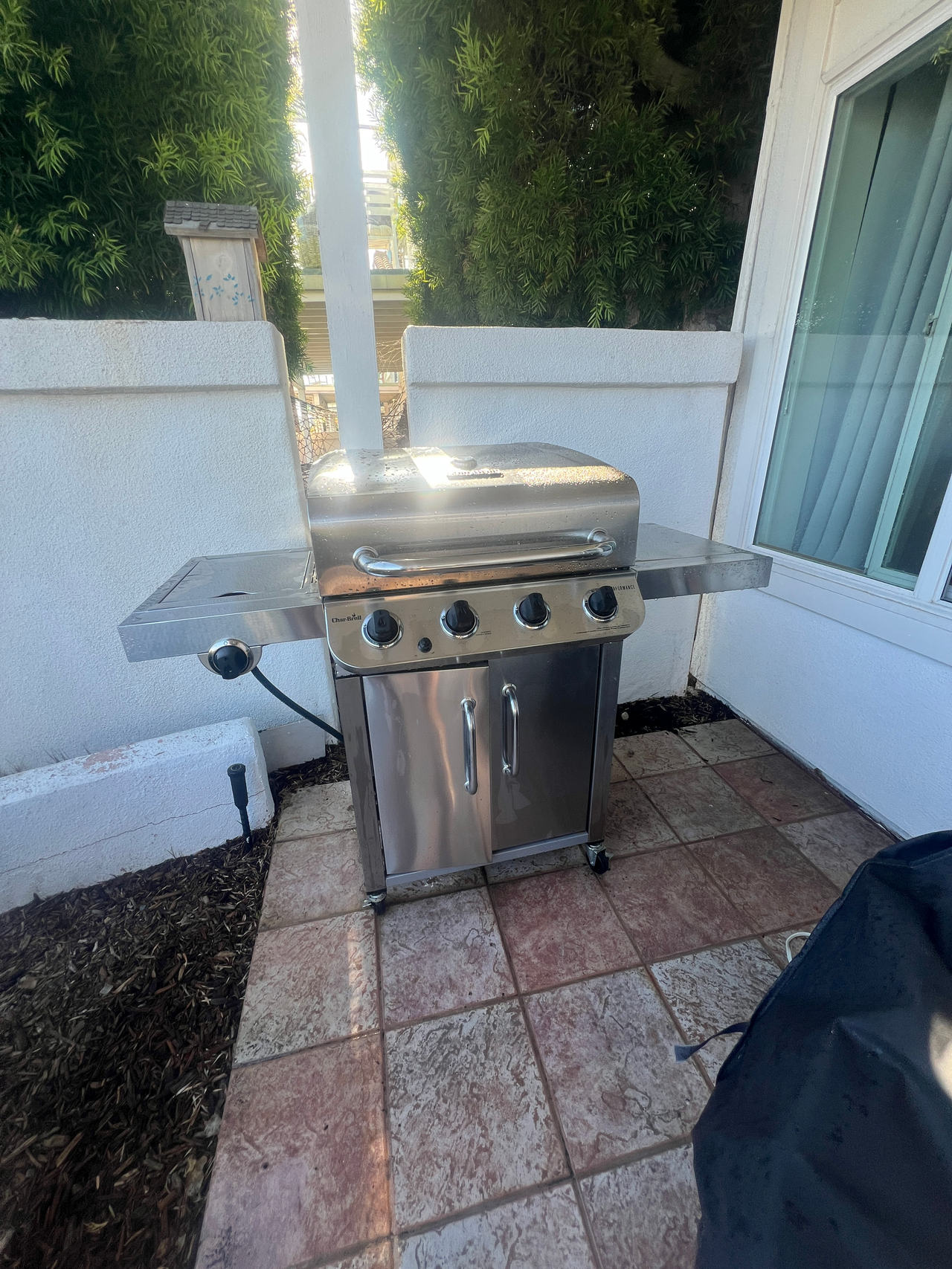 Stainless Steel Gas Grill