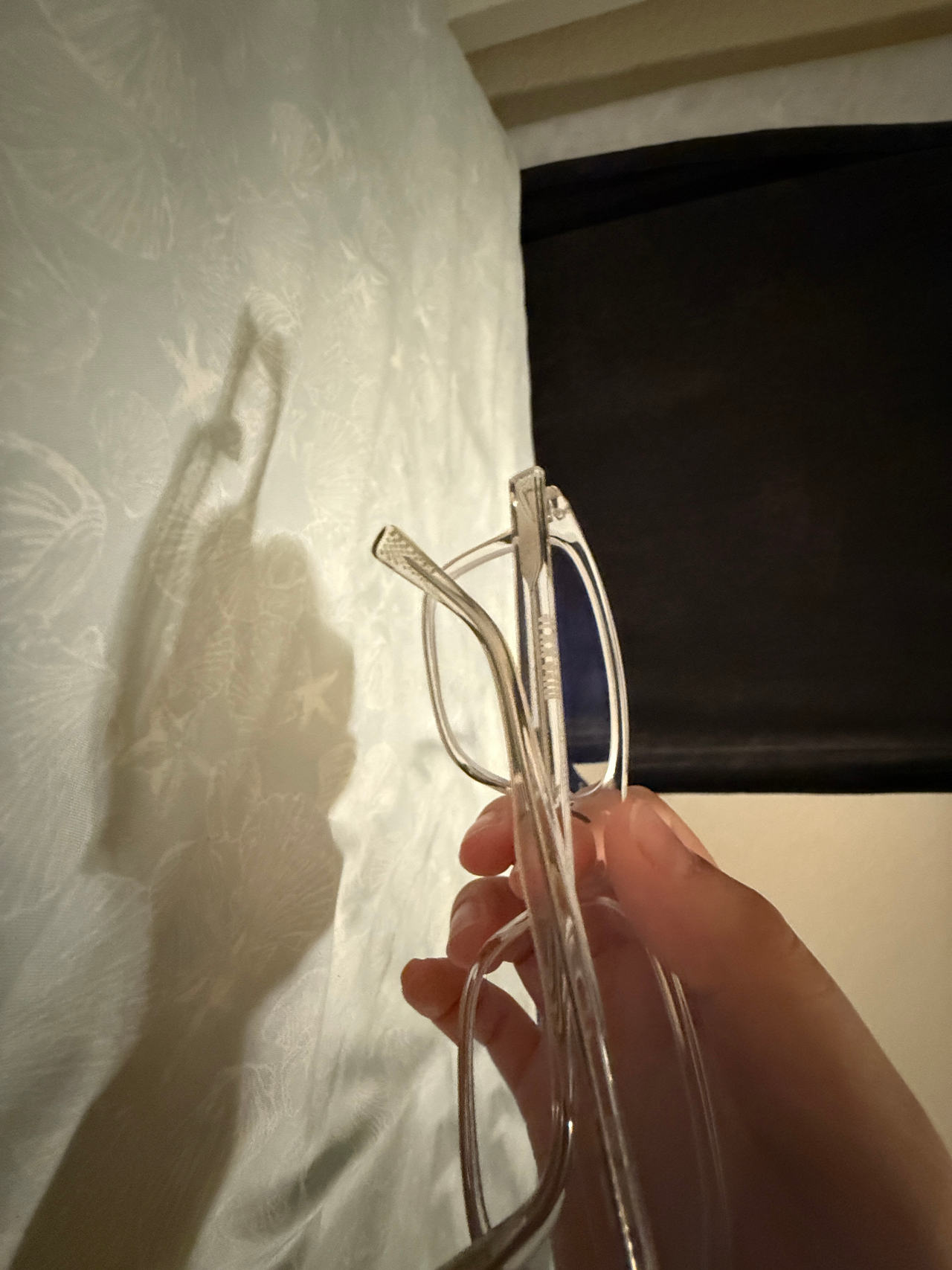 Clear Frame Eyeglasses