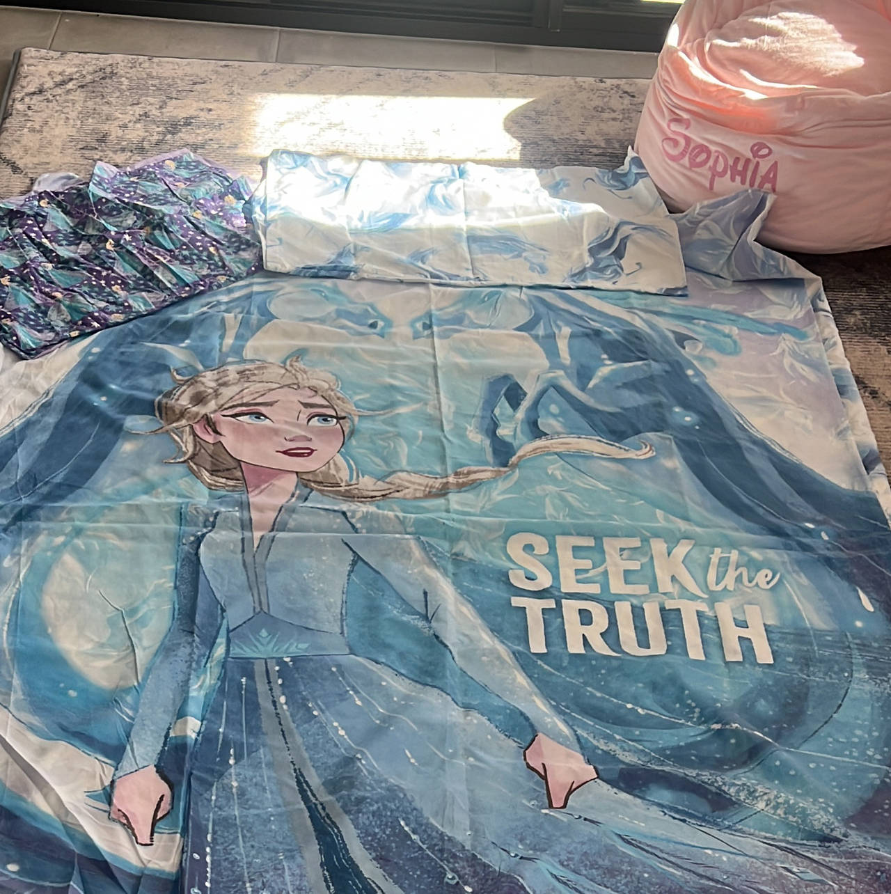Disney Frozen 2 Elsa Seek The Truth Quilt Cover Set