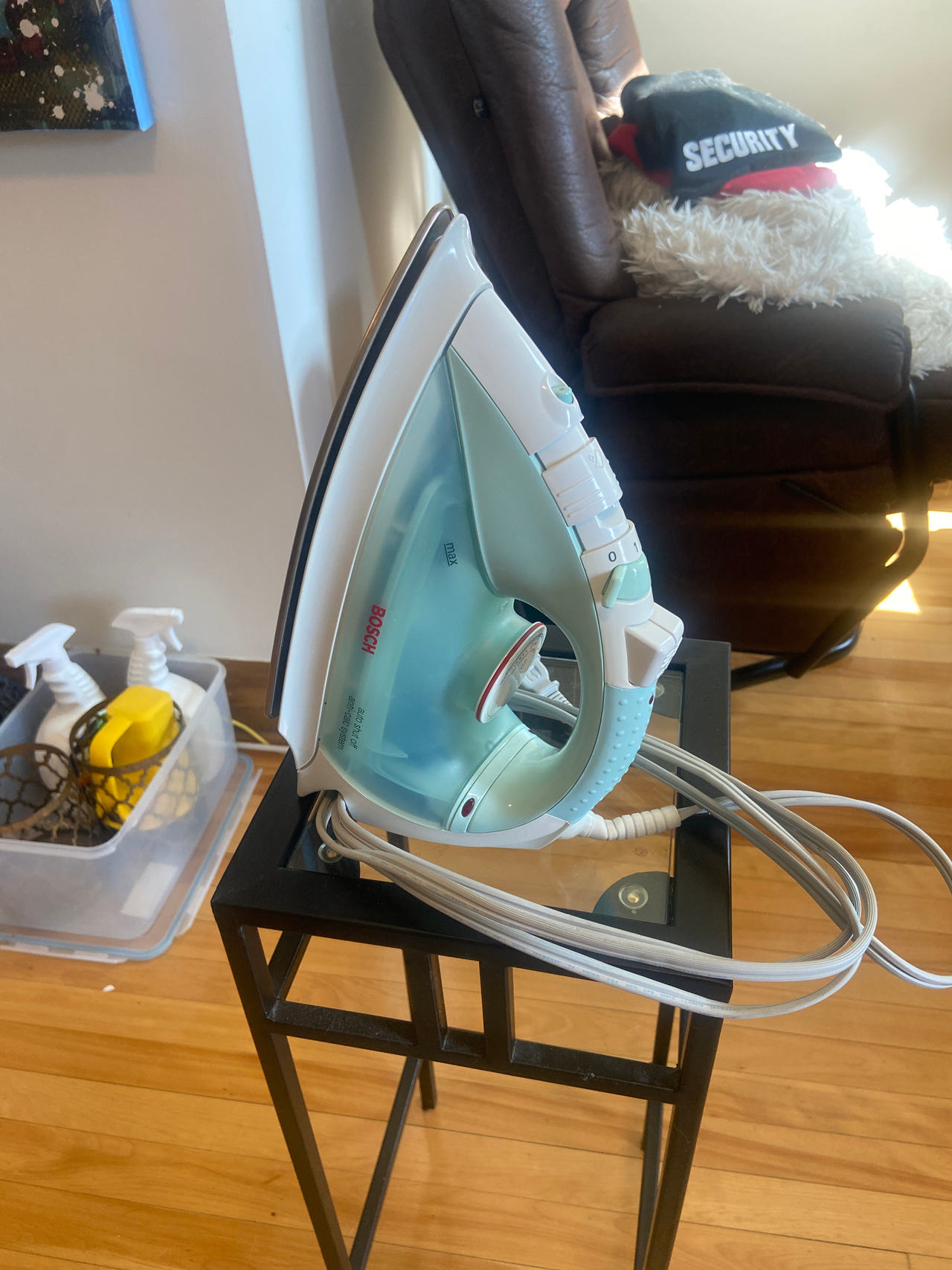 Bosch Steam Iron