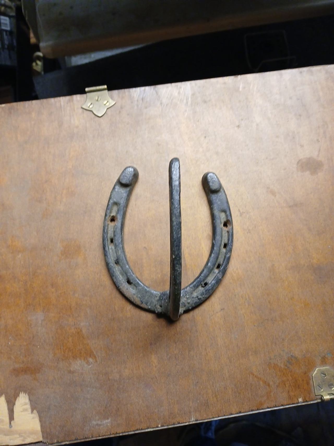 Cast Iron Horseshoe Wall Hook
