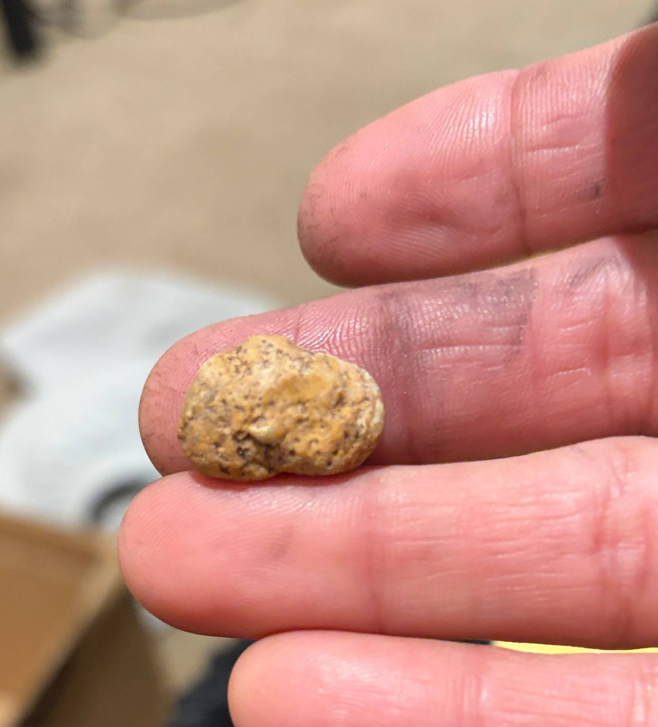 Natural Raw Gold Nugget