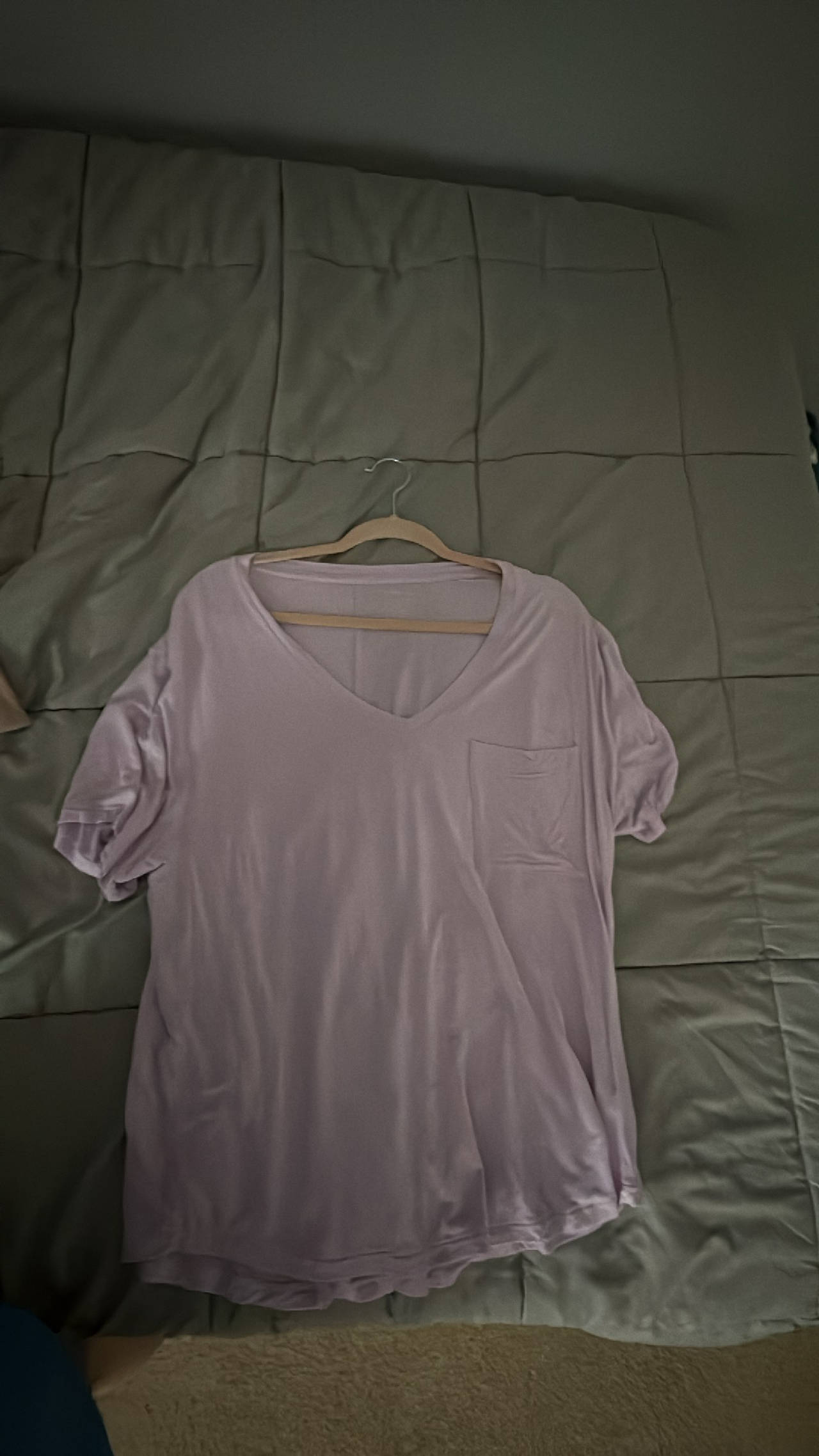American Eagle Women's V-Neck T-Shirt