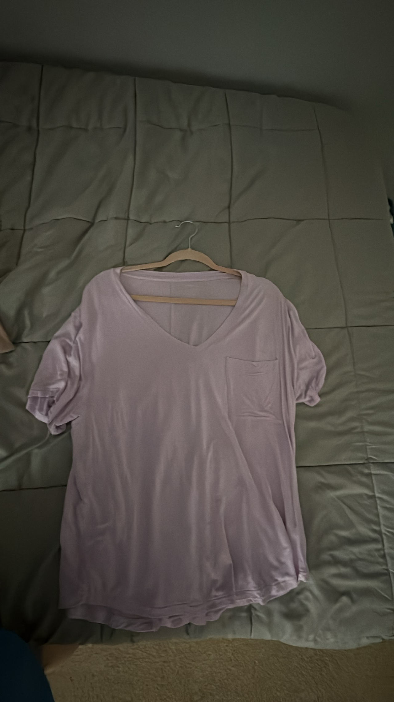 American Eagle Women's V-Neck T-Shirt