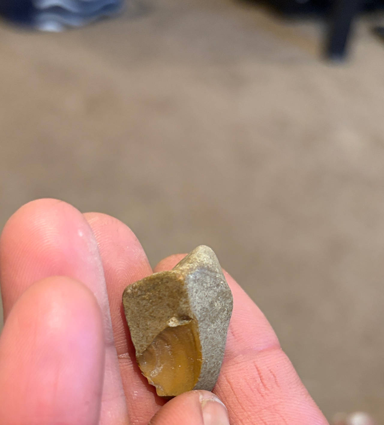 Native American Lithic Flake Debitage