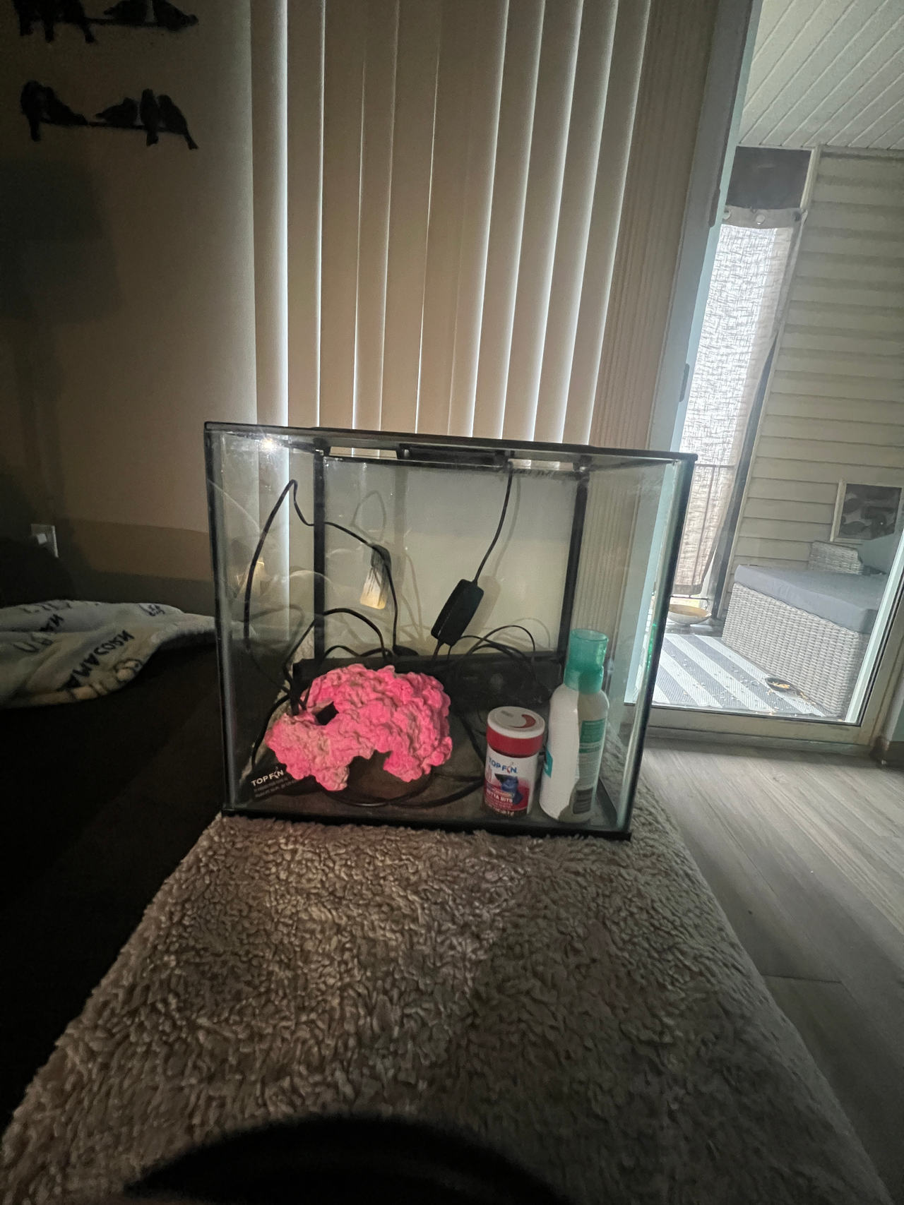 Top Fin 5 Gallon Glass Aquarium Kit