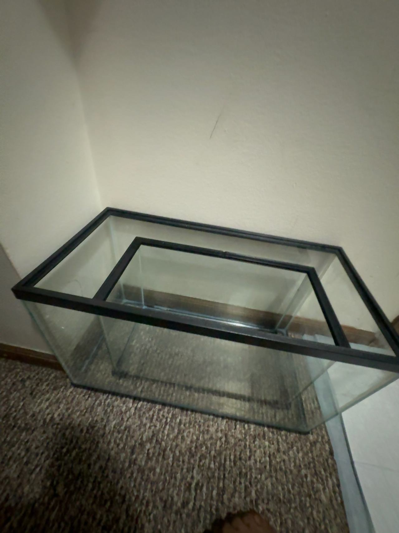 10 Gallon Glass Fish Tank