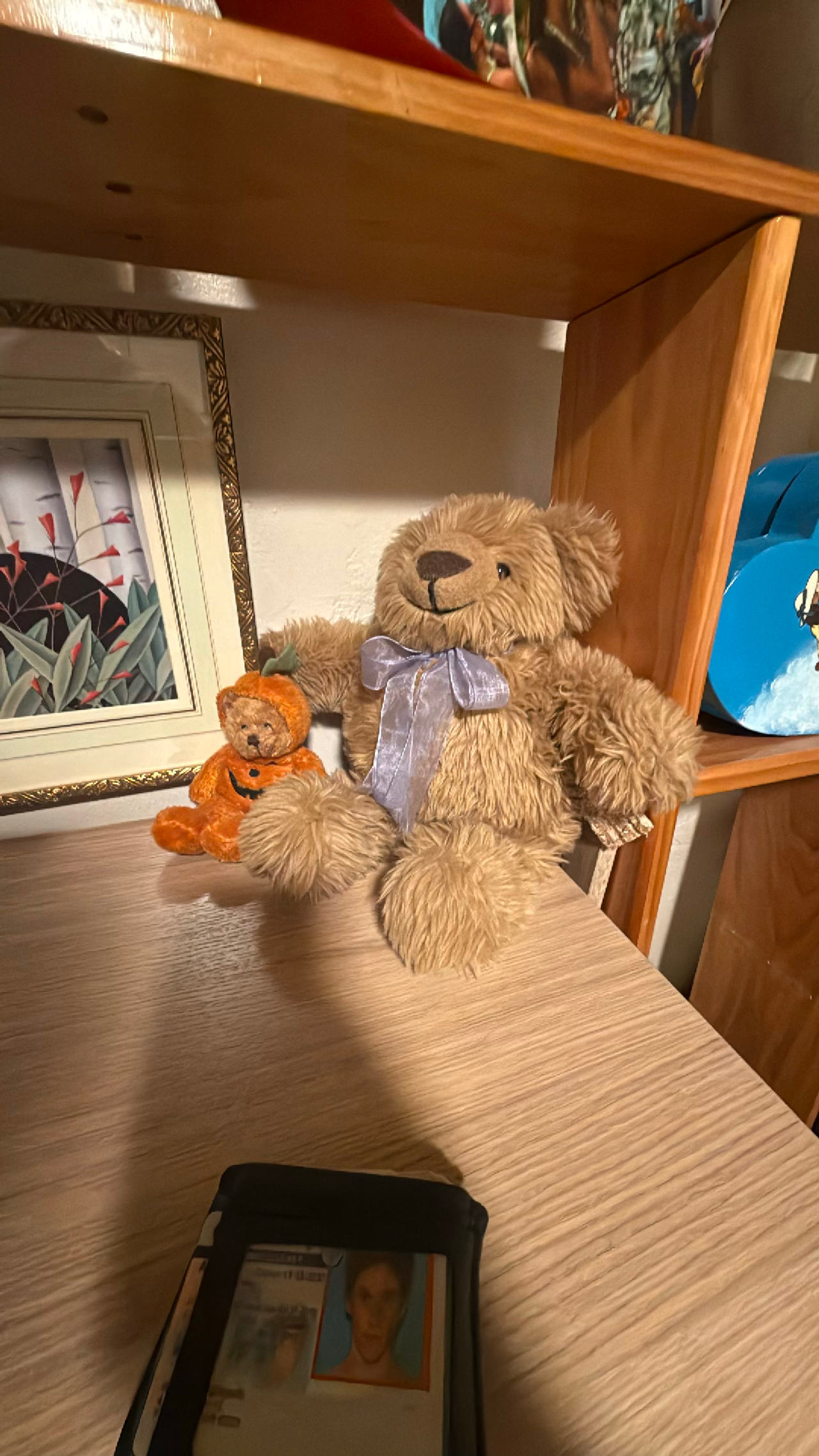 Teddy Bear
