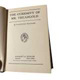The Curiosity of Mr. Treadgold Hardcover by Valentine Williams - Image 3