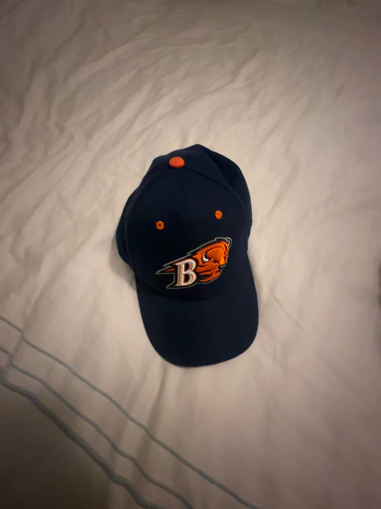 Zephyr Bucknell Bisons Navy Blue Hat