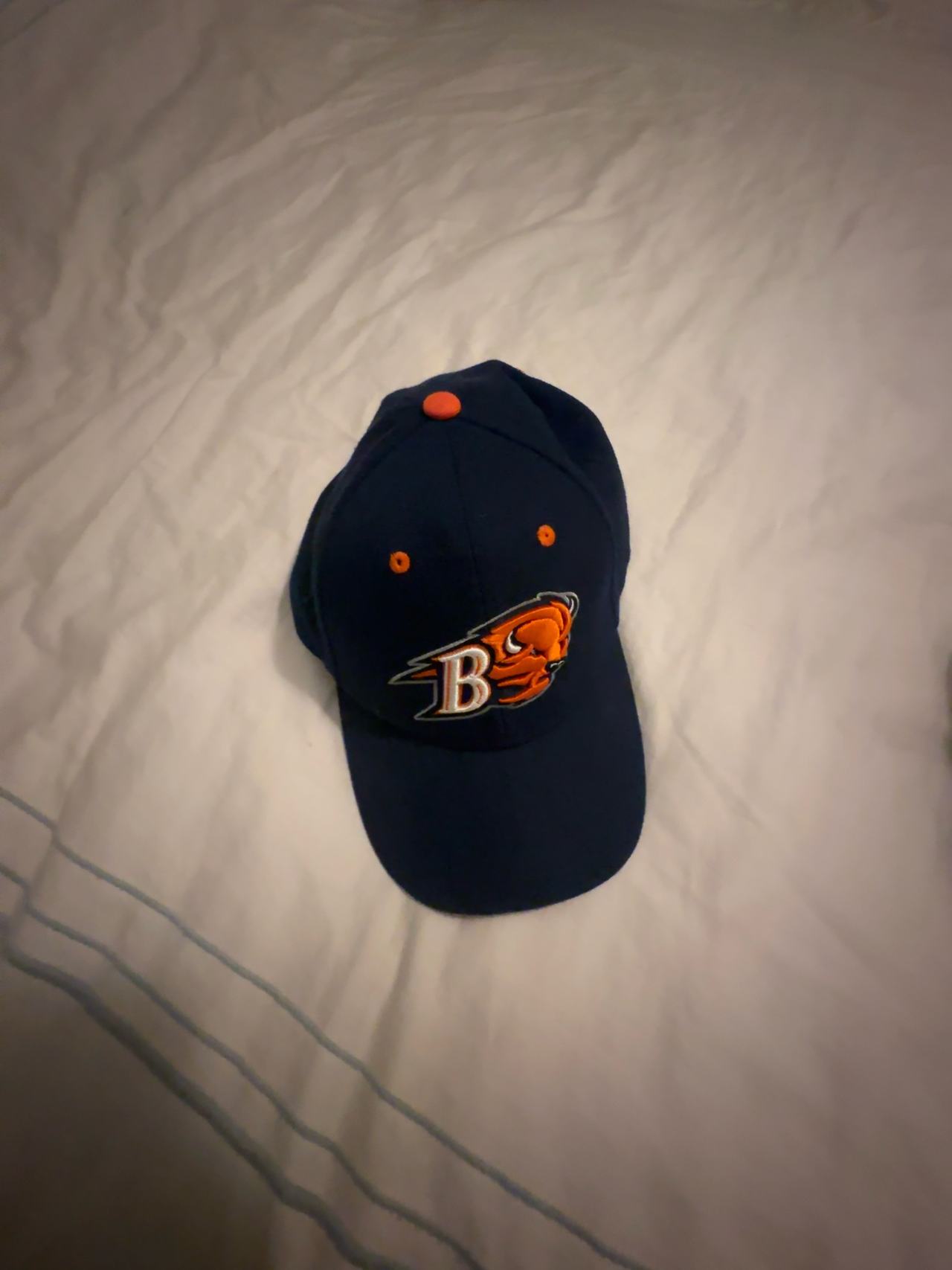 Zephyr Bucknell Bisons Navy Blue Hat