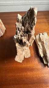 Petrified Wood Fossil Display Piece - Image 5
