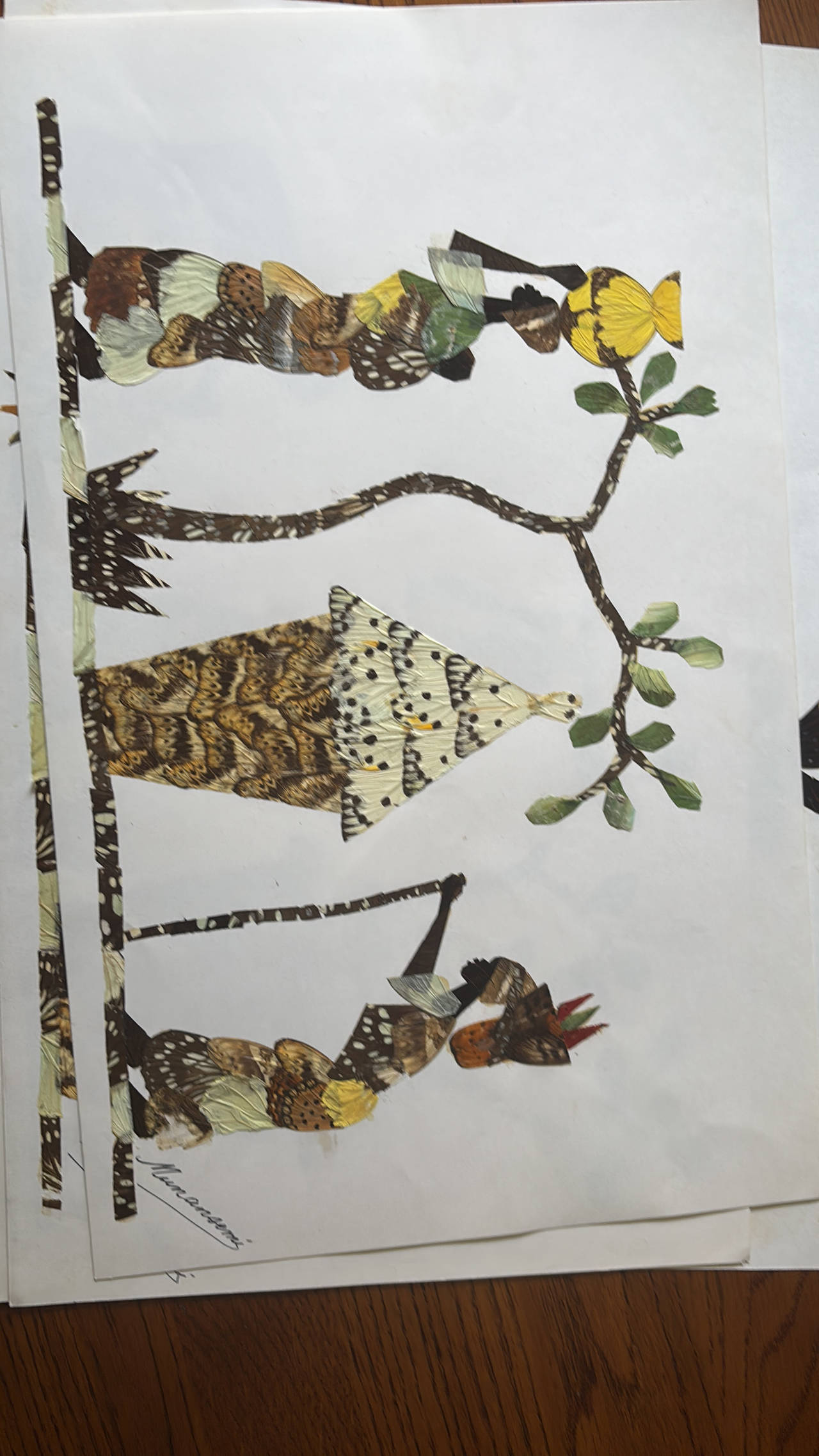 African Butterfly Wing Art