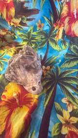 Raw Mineral Crystal Specimen - Image 8