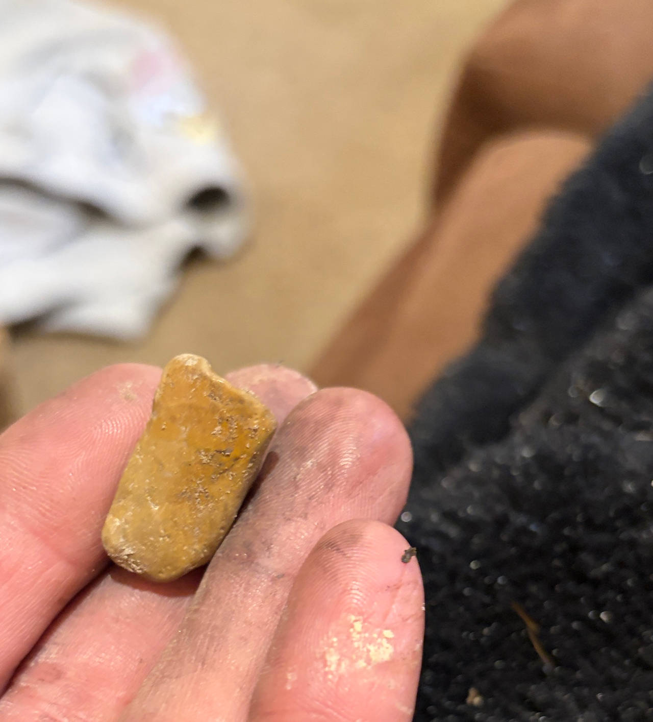 Stone Artifact Flake/Scraper