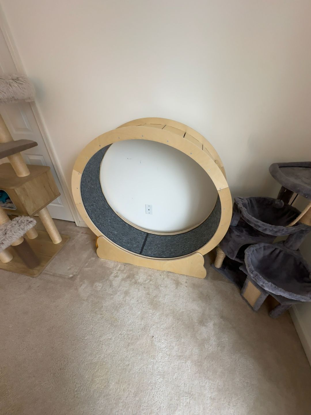 HNCXHX Cat Exercise Wheel with Carpeted Treadmill