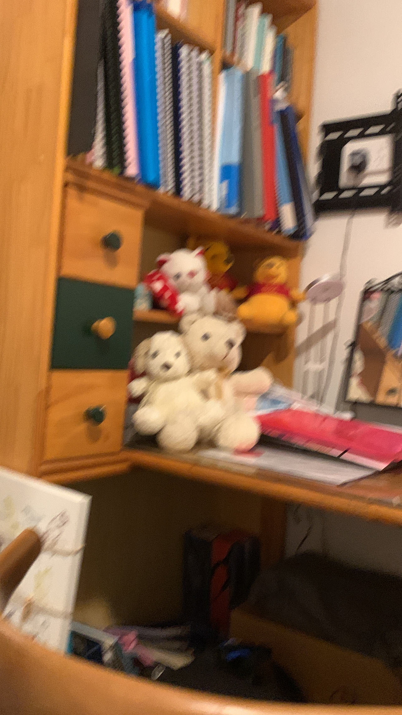 Teddy Bear Plush Toy