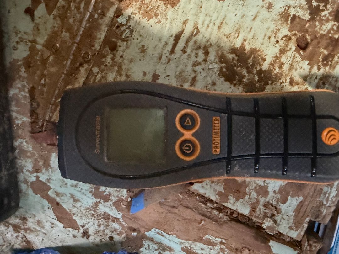 Protimeter Surveymaster Moisture Meter