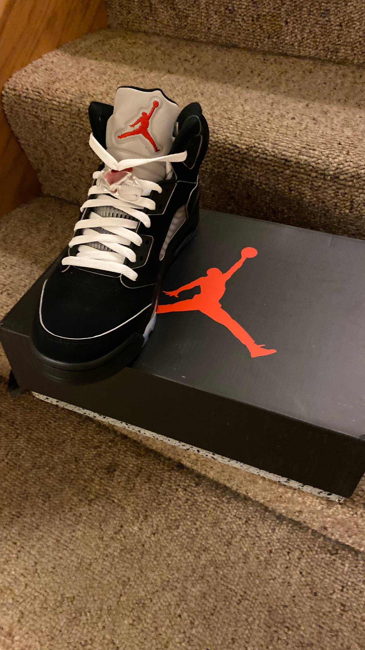 Air Jordan 5 Retro