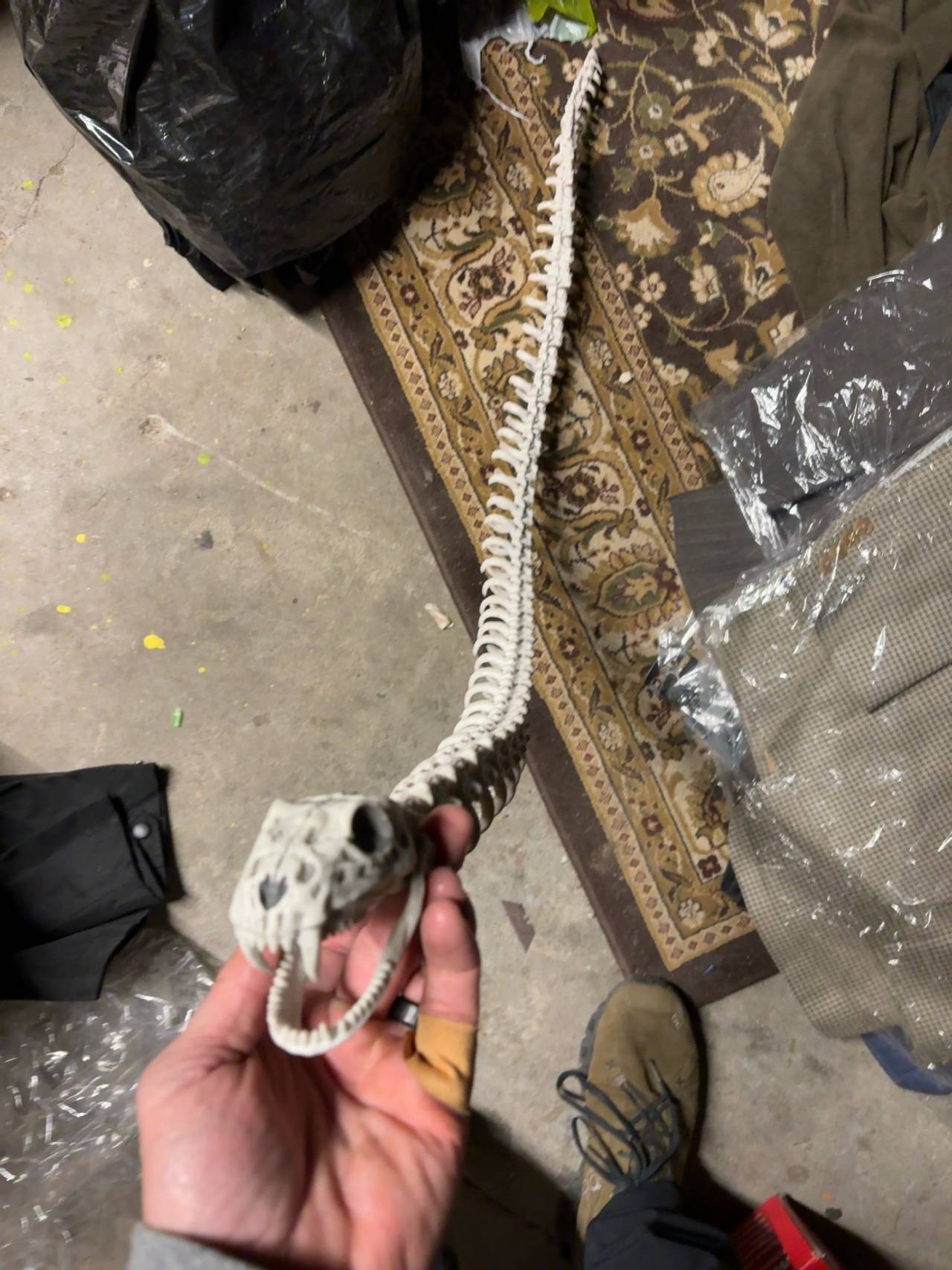Articulated Plastic Snake Skeleton Halloween Decoration