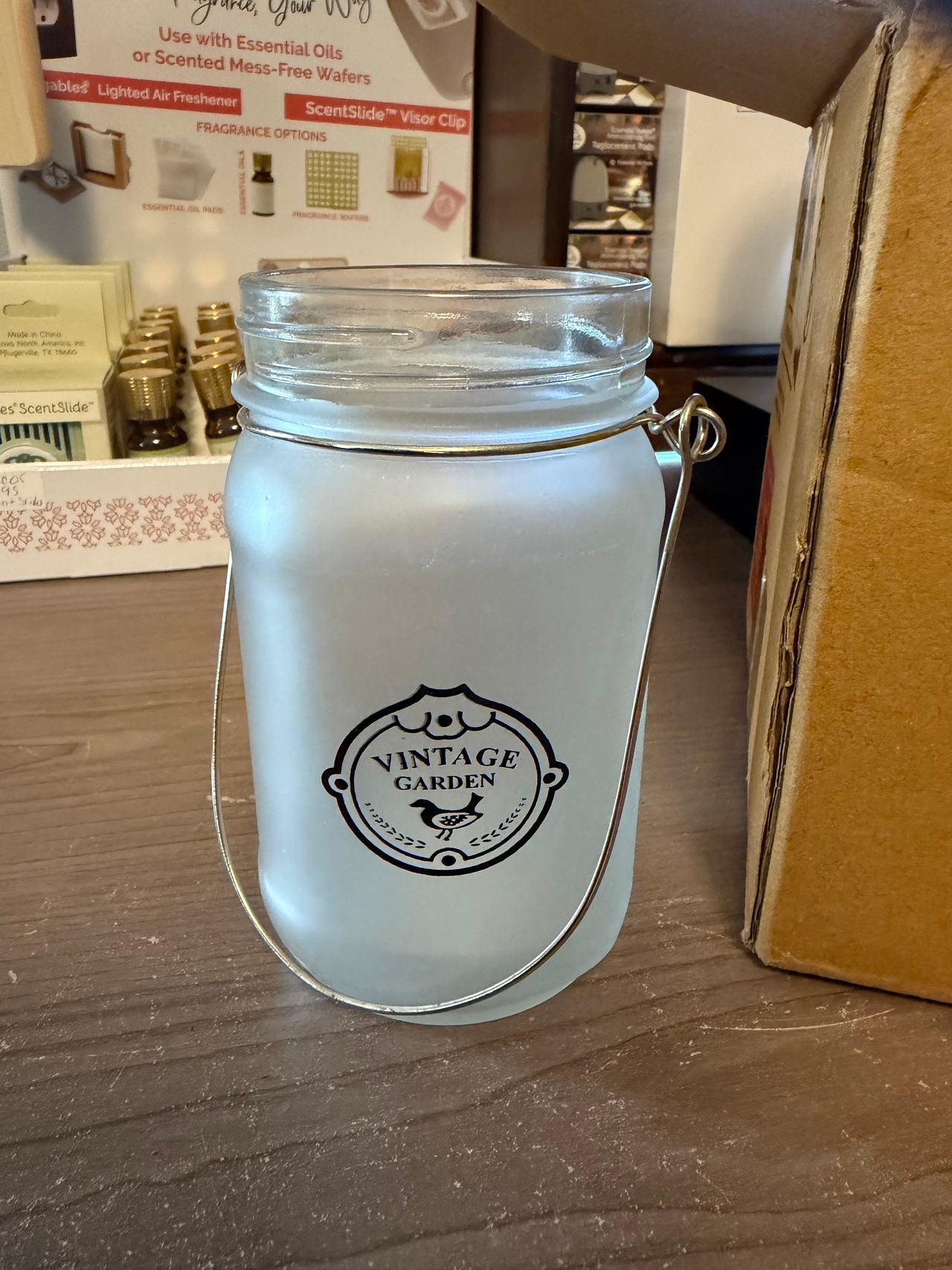 Vintage Garden Frosted Glass Jar Lanterns - Set of 4