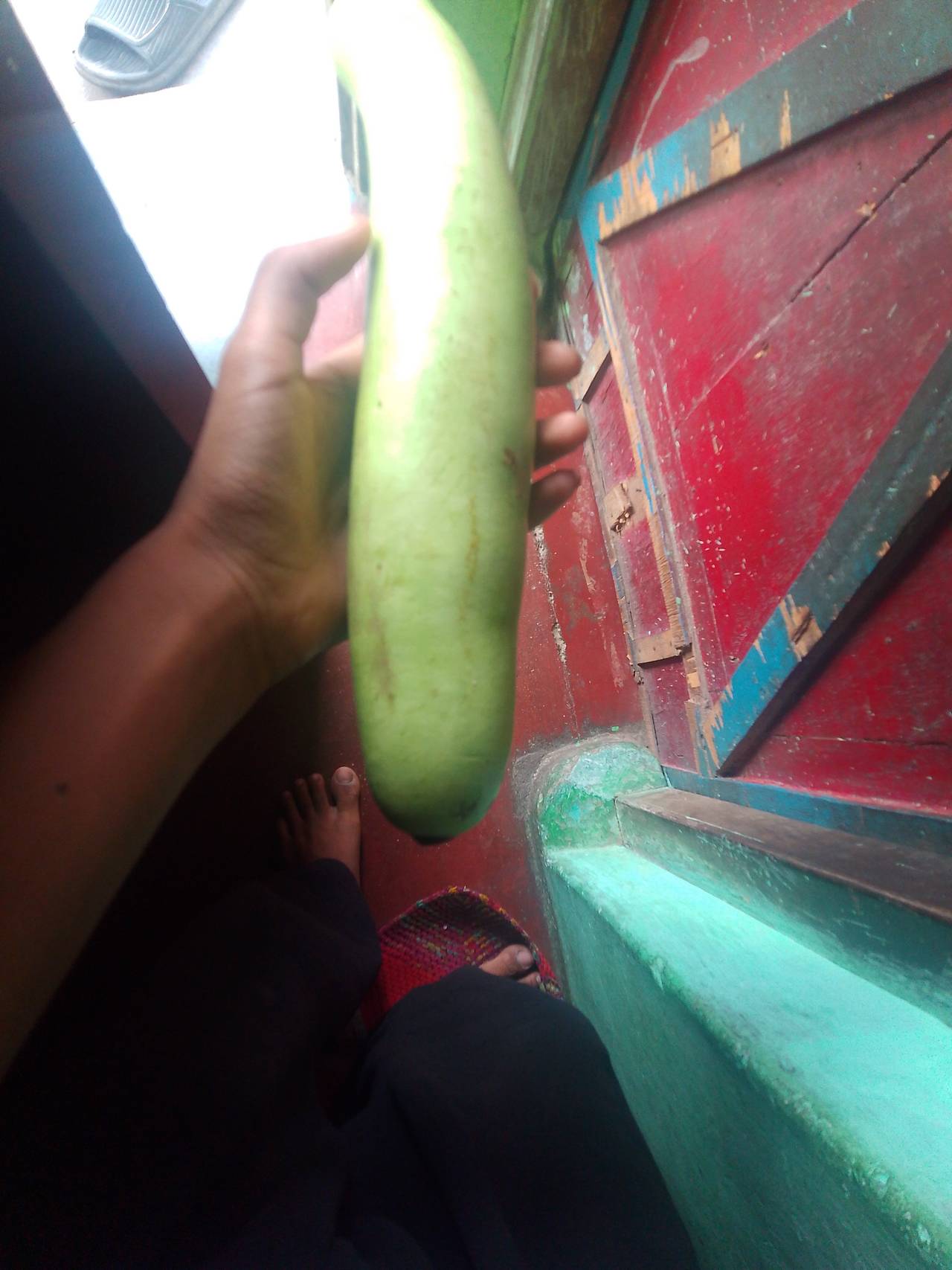 Fresh Bottle Gourd (Lauki)