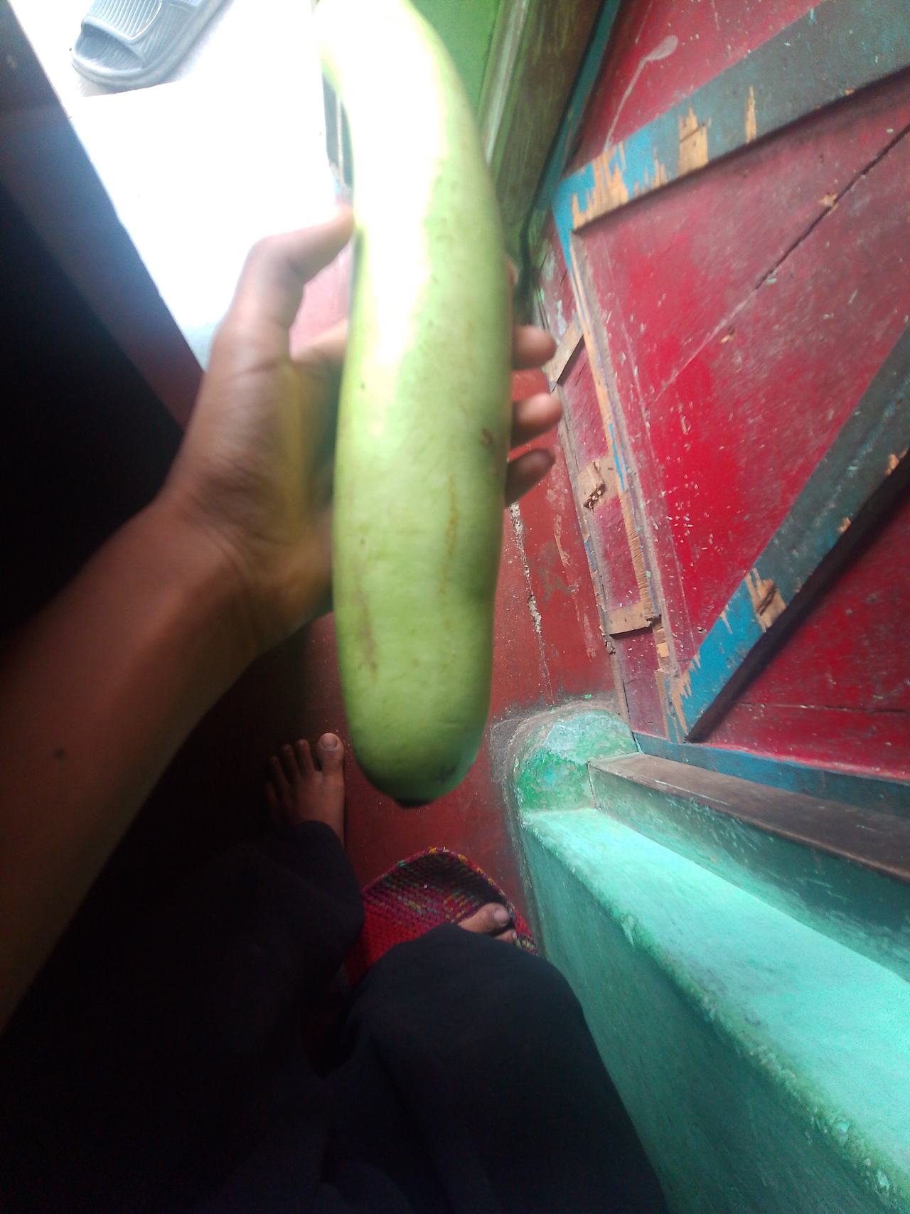 Fresh Bottle Gourd (Lauki)