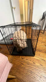 Wire Dog Crate - Image 3