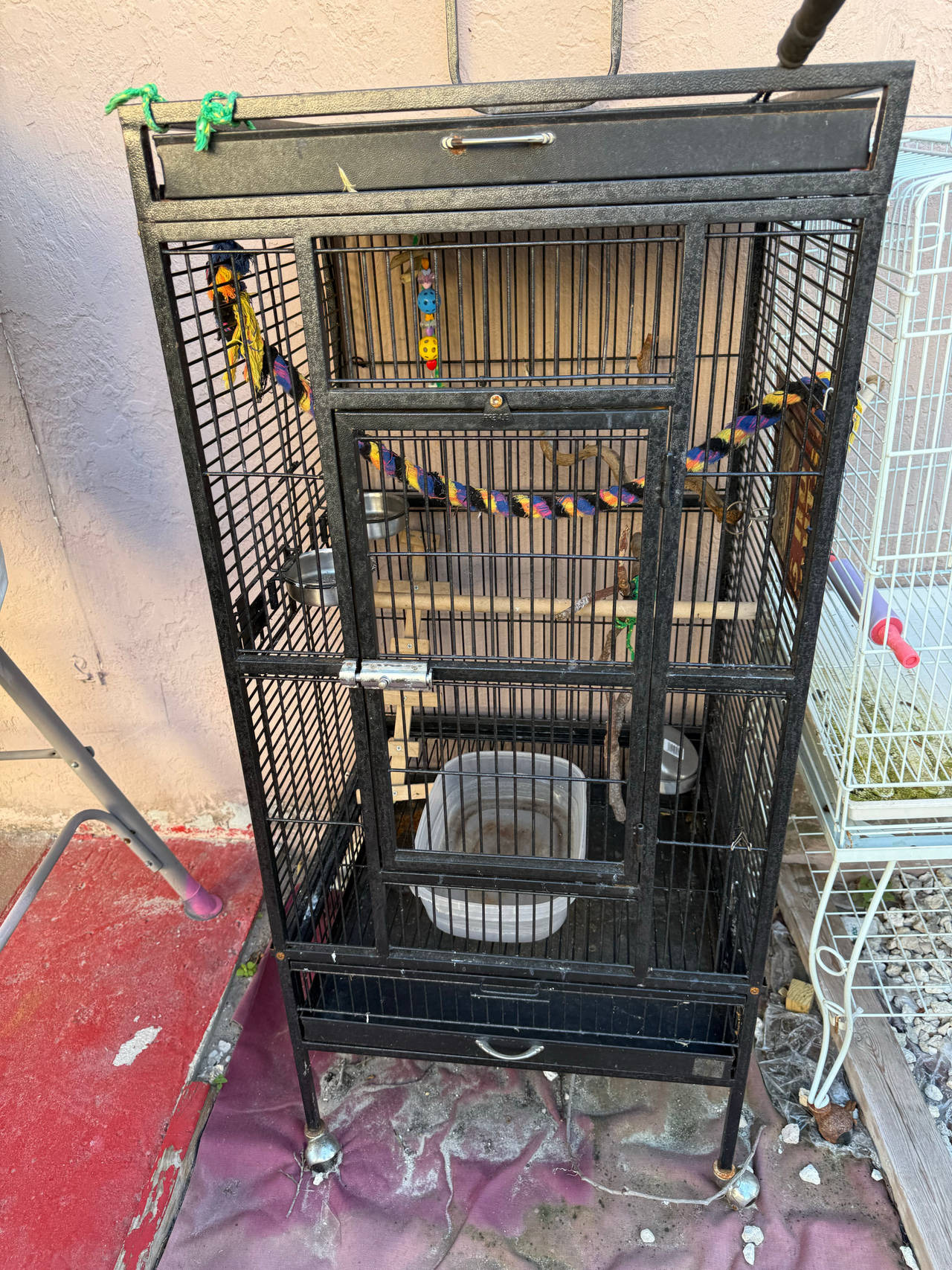 Prevue Hendryx Wrought Iron Select Bird Cage