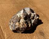 Stromatolite Fossil Specimen - Image 5