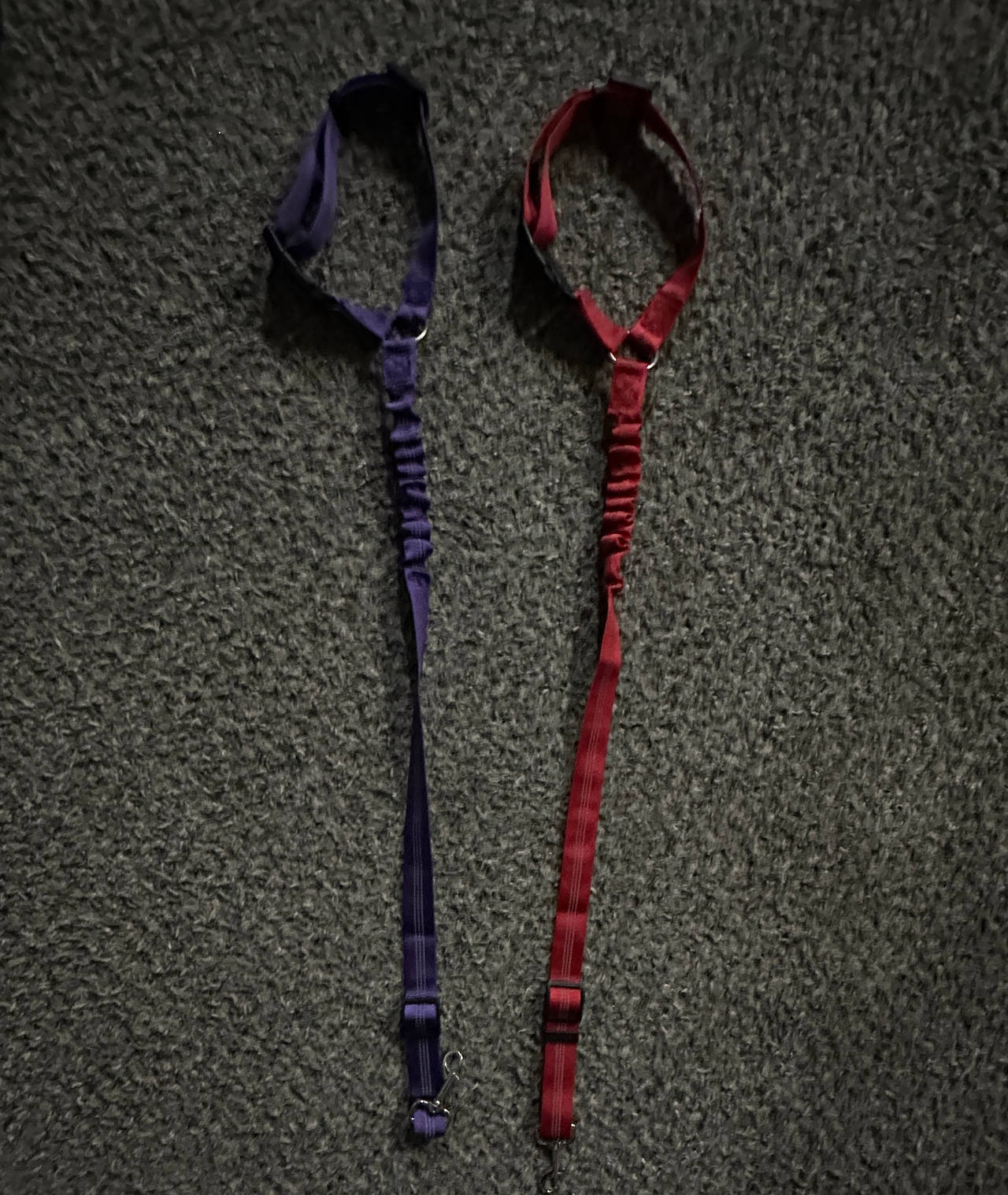 Hands-Free Bungee Dog Leash Set