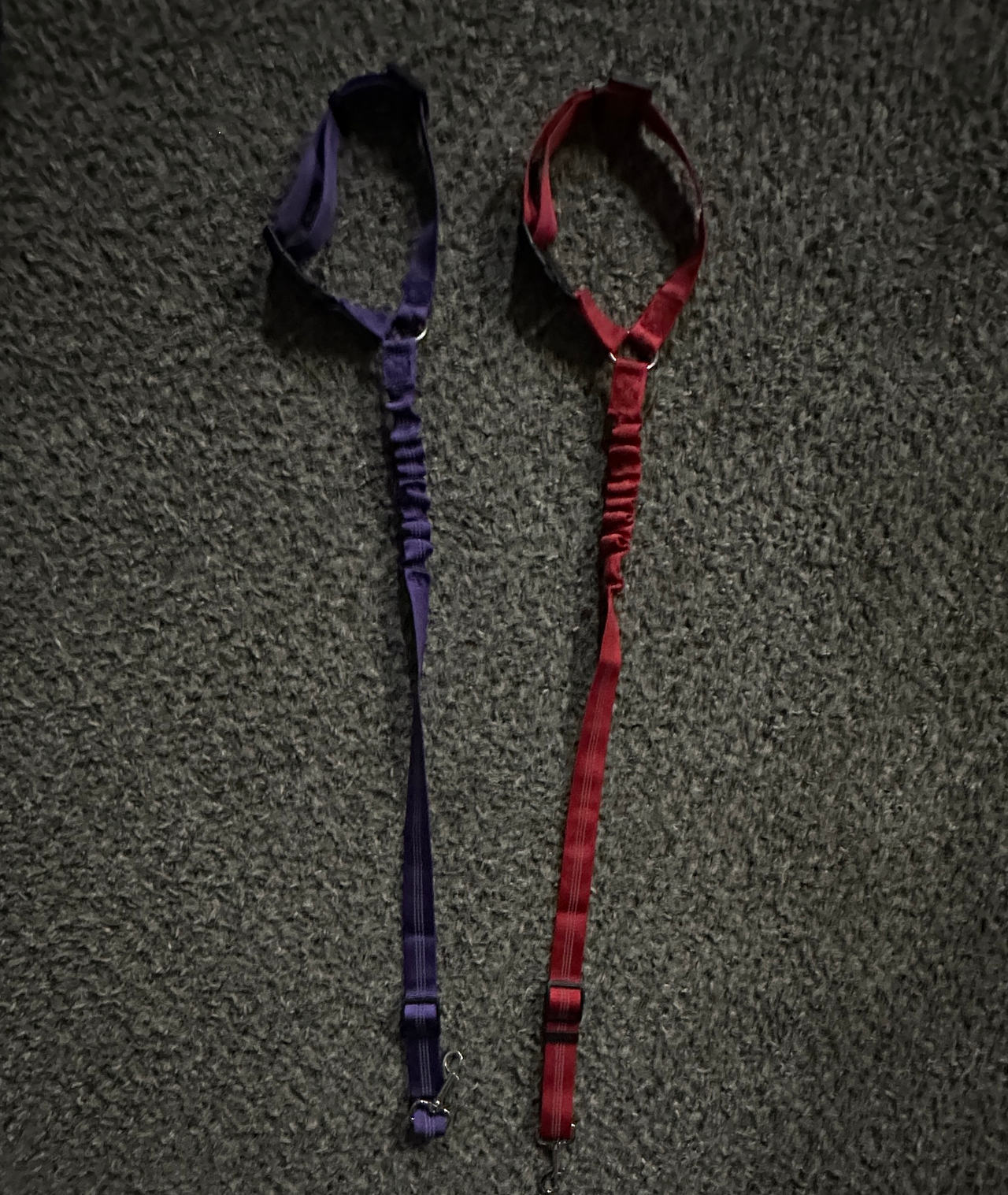 Hands-Free Bungee Dog Leash Set