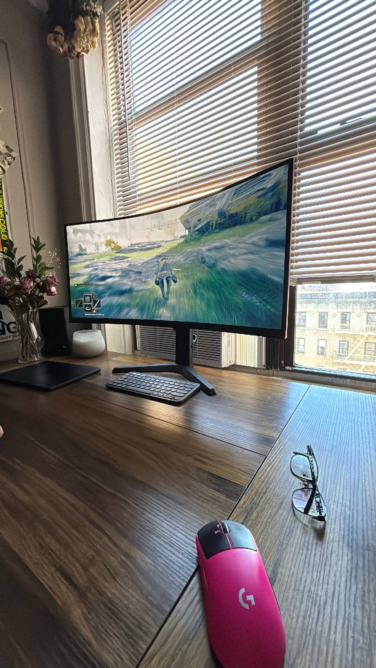 LG UltraWide Monitor