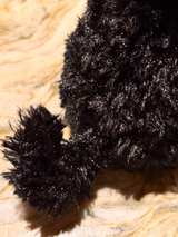 TY Beanie Baby Bo Portuguese Water Dog 6-inch Plush - Image 4