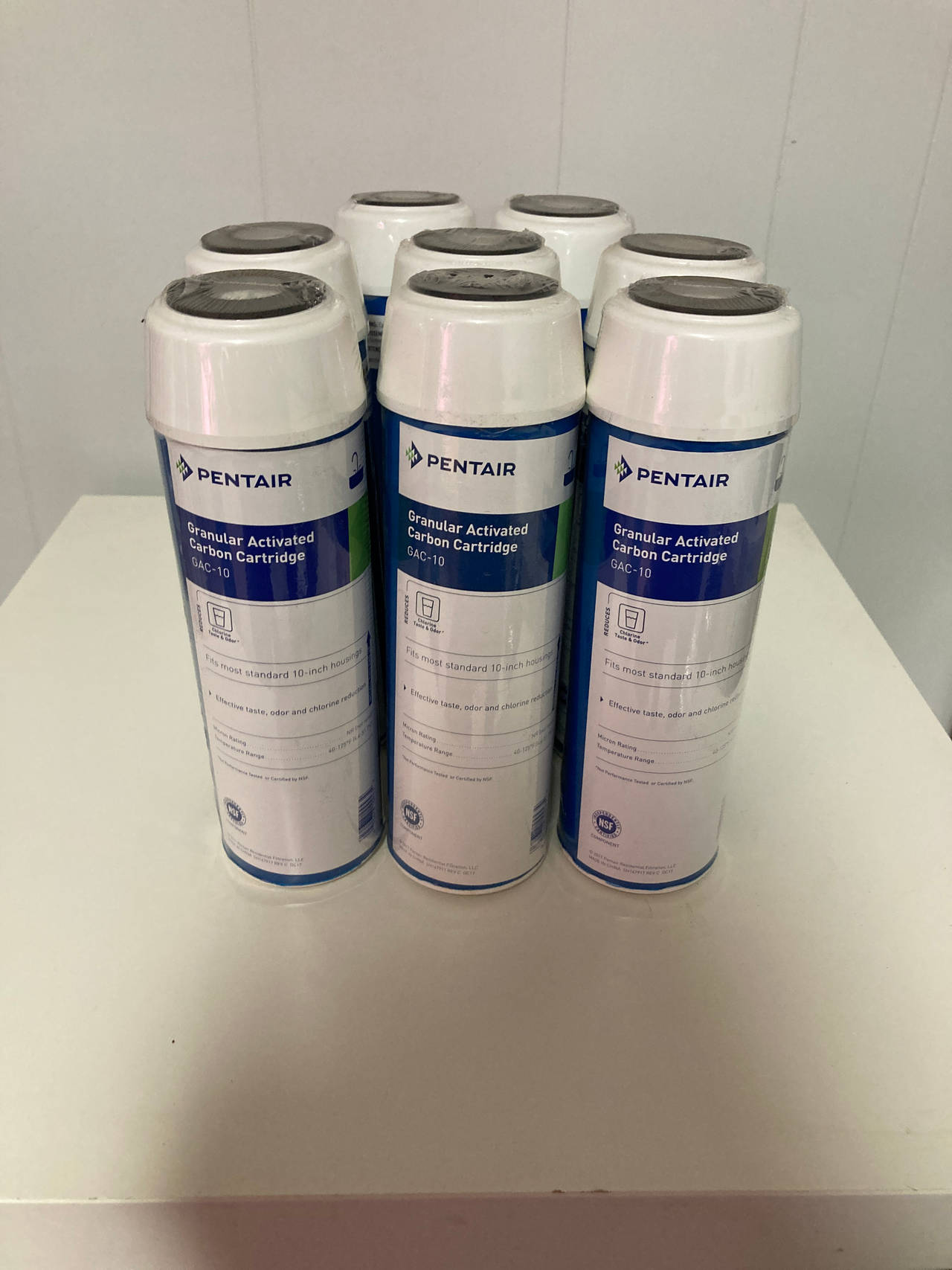 Pentair Pentek GAC-10 Water Filter