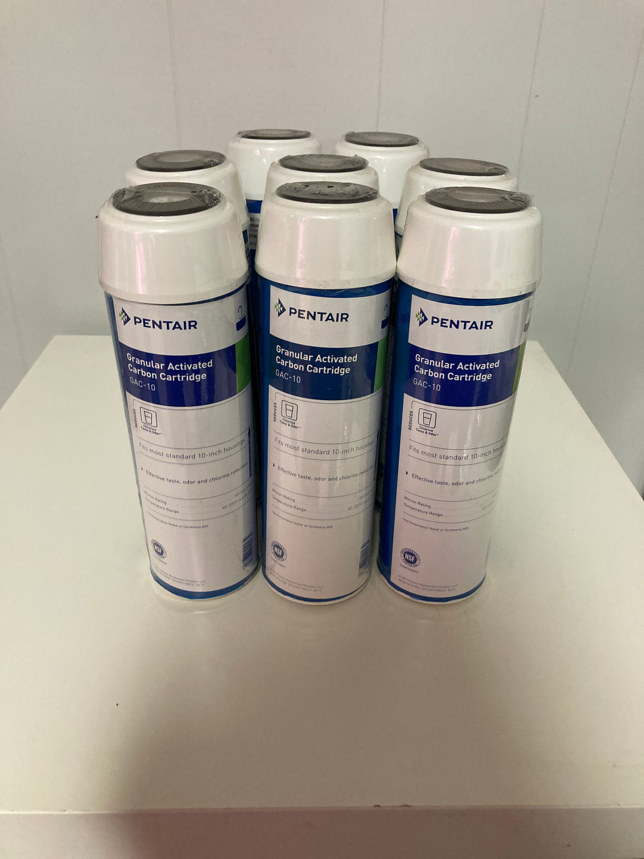 Pentair Pentek GAC-10 Water Filter