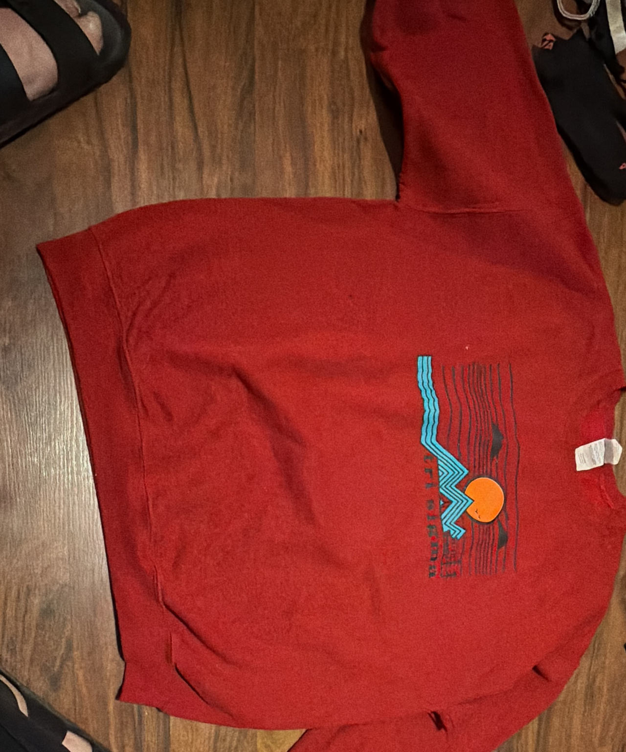Vintage Style Red Graphic Sweatshirt