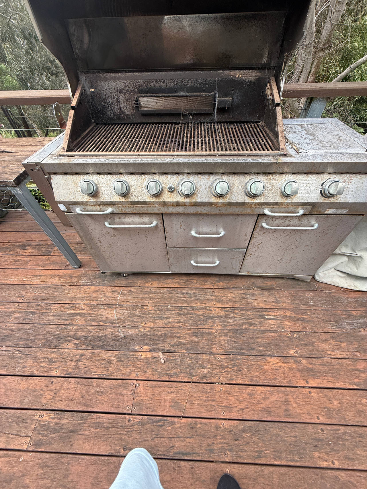 Stainless Steel Gas BBQ Grill