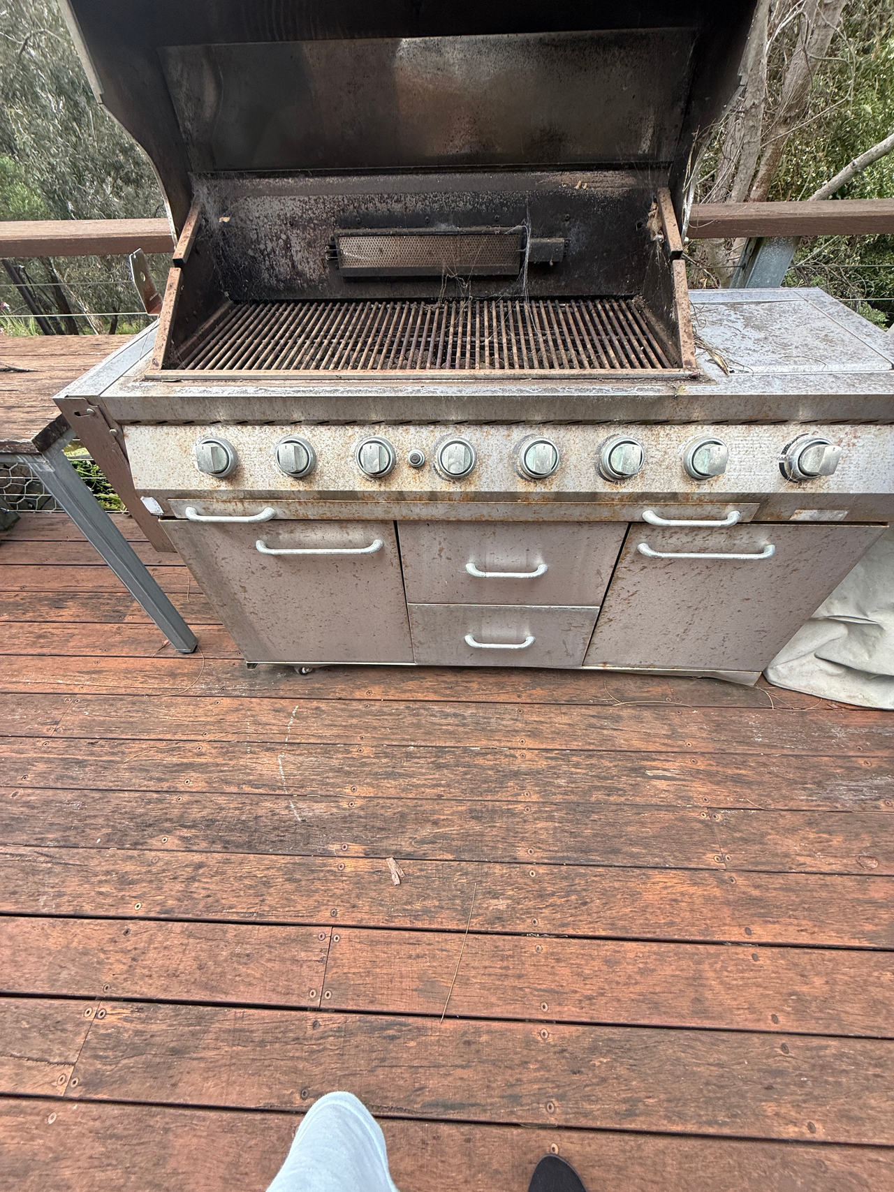 Stainless Steel Gas BBQ Grill