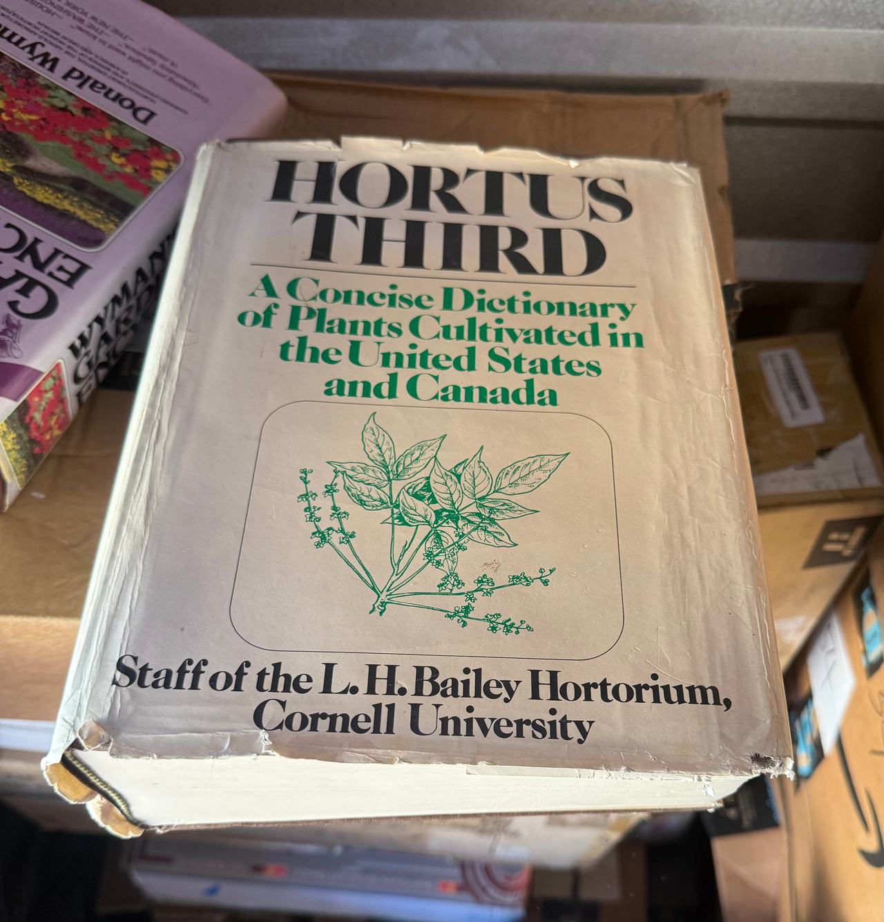 Hortus Third: A Concise Dictionary of Plants Cultivated in the United States and Canada