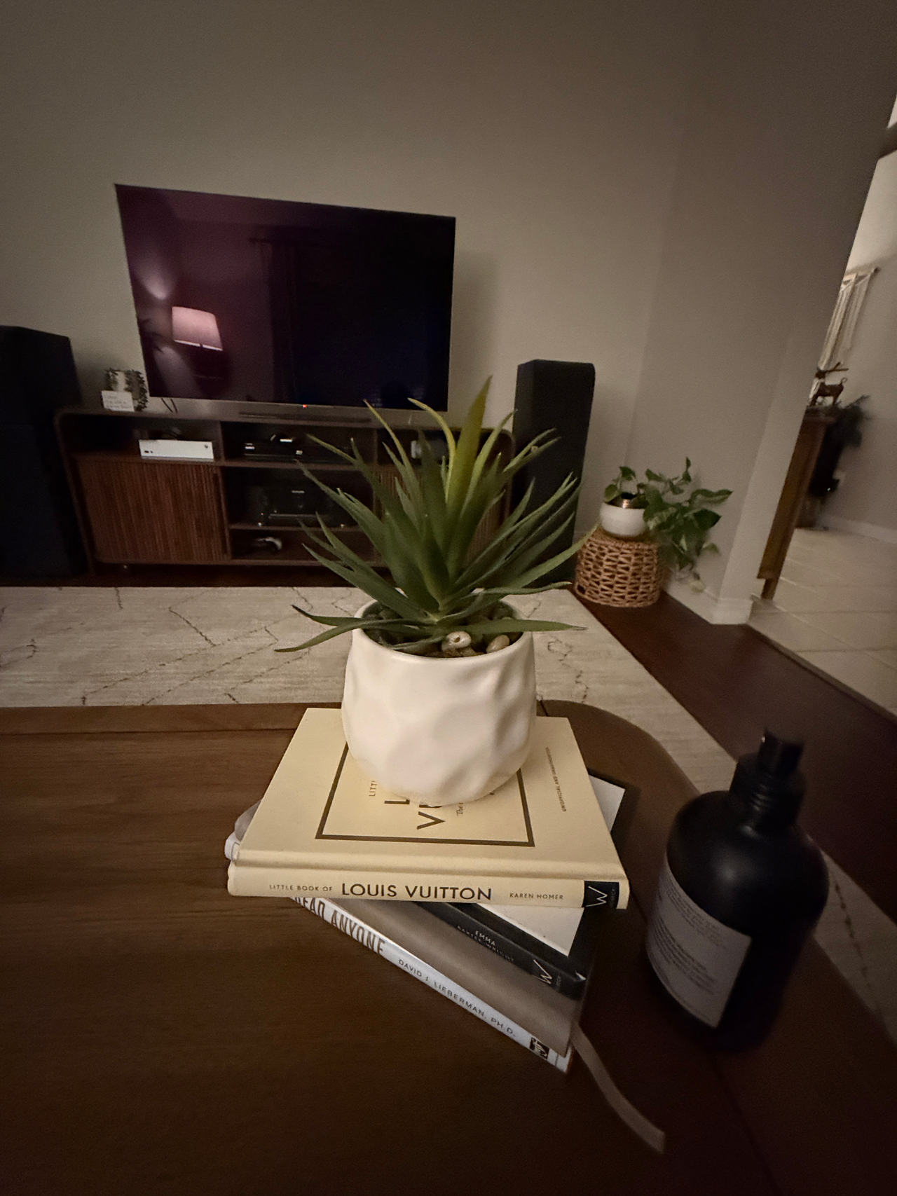 Artificial Succulent Plant in White Ceramic Pot