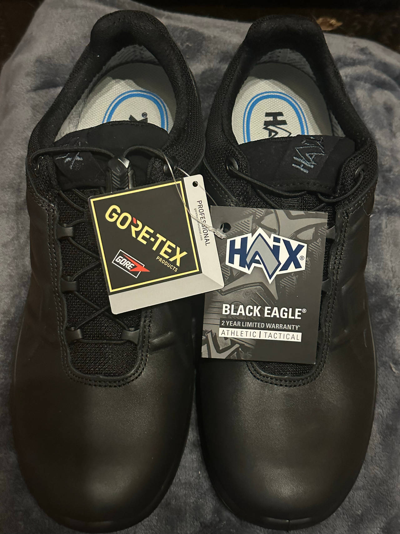 HAIX Black Eagle Tactical 2.1 GTX Low